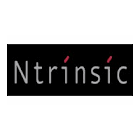 Ntrinsic Consulting Europe Limited