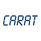 CARAT Ges. für Organisation und Softwareentwicklung