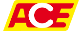 ACE-Wirtschaftsdienst GmbH