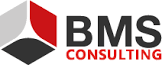 BMS Consulting GmbH
