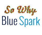 Blue Spark Organisation