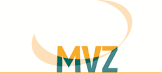 MVZ Management GmbH Ost