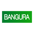 Bangura Solutions