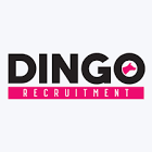 Dingo Recruitment Ltd