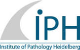 Pathologisches Institut
