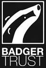 Badger Group