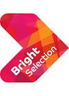 Bright Selection Ltd