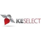KE Select - Scientific & Medical Recruitment Specialists