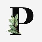 P&P Gruppe - Dr. Penné & Pabst Part PartmbB
