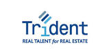 D Davis t/a Trident International Associates