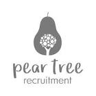 Pear Tree Recruitment Limited
