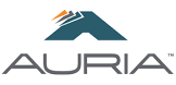 Auria Solutions GmbH