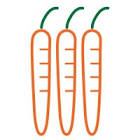 Carrot Recruitment