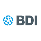 BDI Bundesverband der Deutschen Industrie e.V.